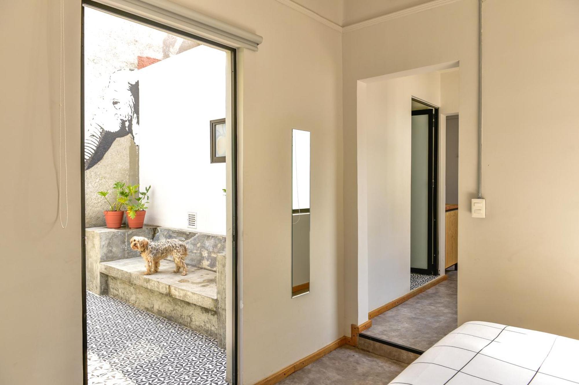 ホテル Casa Melgar メキシコシティ エクステリア 写真